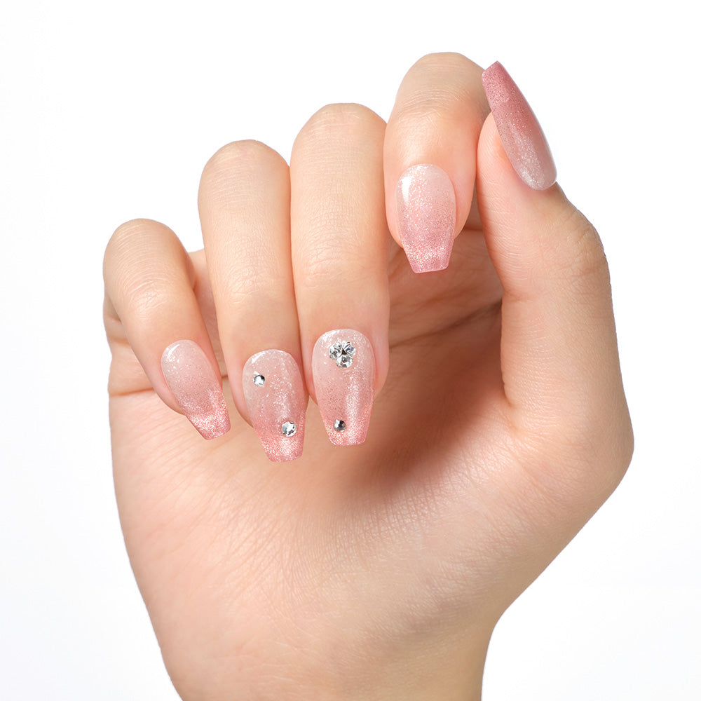 Roselle – DASHING DIVA JAPAN