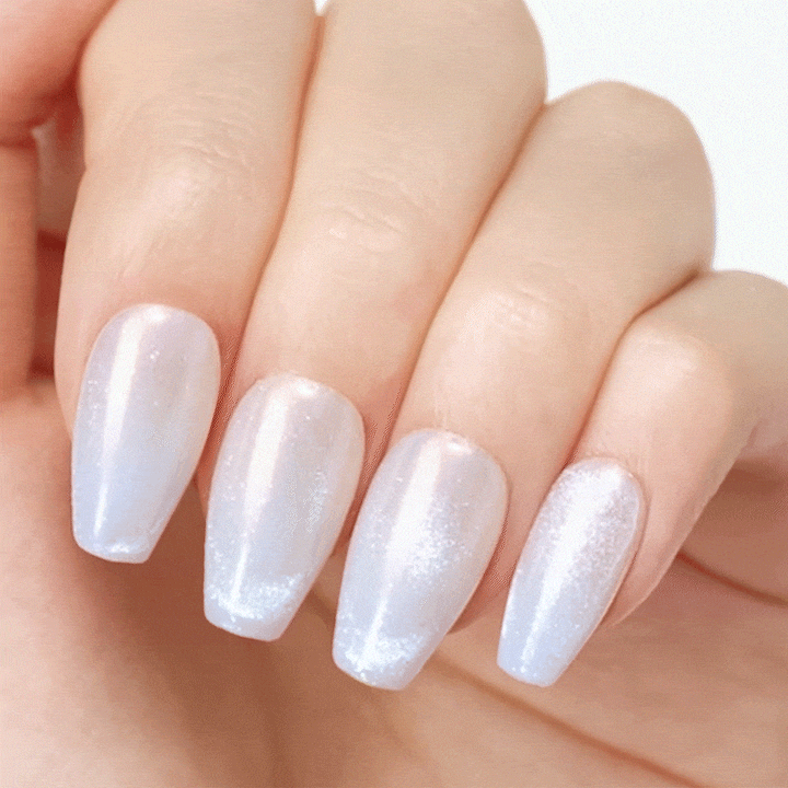Halo – DASHING DIVA JAPAN