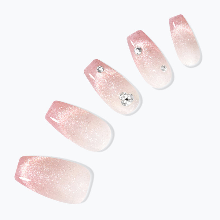 Roselle – DASHING DIVA JAPAN